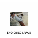 Degas - GalleryPlayer, END CHILD LABOR t-shirts by mdm078 Degas - GalleryPlayer, END CHILD LABOR t-shirts