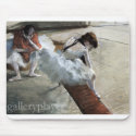 Degas - GalleryPlayer mousepads by mdm078 Degas - GalleryPlayer mousepads