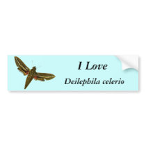 Deilephila celerio bumper stickers by FlutterByButterfly Deilephila celerio bumper stickers