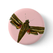 Deilephila celerio buttons