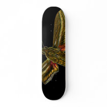 Deilephila celerio skateboards