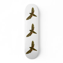 Deilephila celerio skateboards