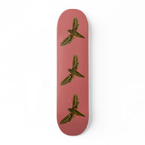 Deilephila celerio skateboards