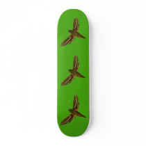Deilephila celerio skateboards