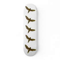 Deilephila celerio skateboards
