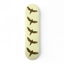 Deilephila celerio skateboards