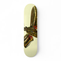 Deilephila celerio skateboards