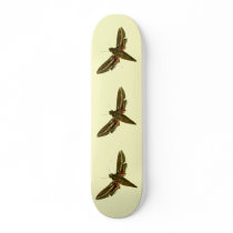 Deilephila celerio skateboards