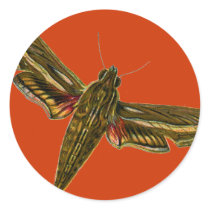 Deilephila celerio stickers