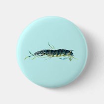 Deilephila elpenor caterpillar buttons