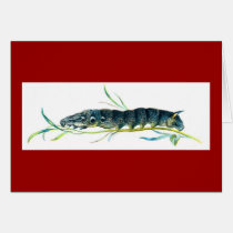 Deilephila elpenor caterpillar cards