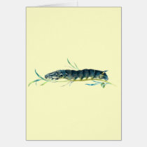 Deilephila elpenor caterpillar cards