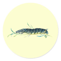 Deilephila elpenor caterpillar stickers