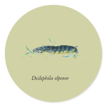 Deilephila elpenor caterpillar stickers