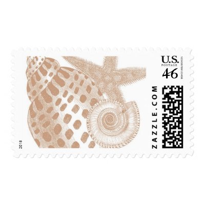 Del Mar A by Ceci New York Stamp