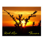 Del Rio Texas Brush Sunset Postcard