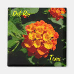 Del Rio Texas Magnet Lantana flower