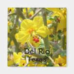 Del Rio Texas Magnet yellow Allthorn flower