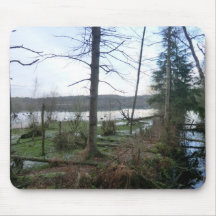 Delamere Forest Wetlands and Blakemere Moss Mousepads