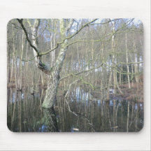 Delamere Forest Wetlands Mousepad