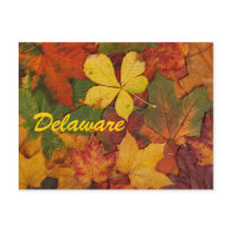 Delaware Autumn Leaves Postcard