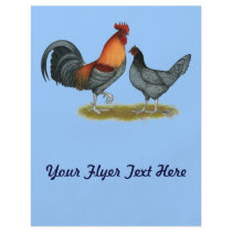 Delaware Blue Hen Custom Flyer