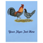 Delaware Blue Hen Custom Flyer