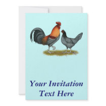 Delaware Blue Hen Announcement