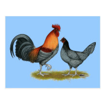 Delaware Blue Hen Postcards