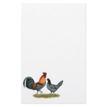 Delaware Blue Hen Custom Stationery