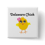 Delaware Chick