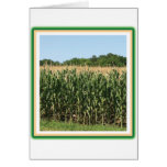 Delaware Corn Card