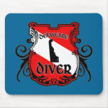 Delaware Diver