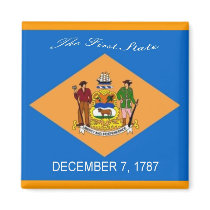 Delaware Flag Magnet