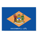 Delaware Flag