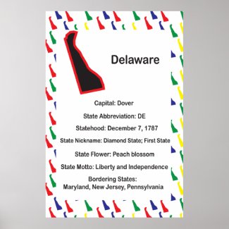 Delaware Information Educational Poster