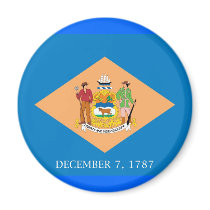 Delaware Magnet