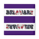 Delaware Magnet
