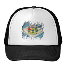 Delaware Mesh Hats