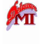 Delaware MI openswoop shirt