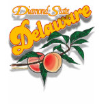 Delaware peach shirt F/B