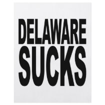 Delaware Sucks Flyer