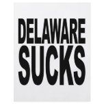 Delaware Sucks Flyer