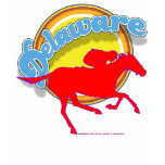 Delaware swoopRace shirt