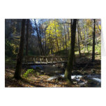 Delaware Water Gap, NJ - Dunnfield Creek Cards