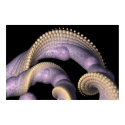 Delft Spirals posters
