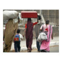 Delhi Luggage posters