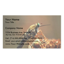 Delhi-Sands Flower Loving Fly Business Card Templates