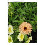 Delicasy Greeting Cards