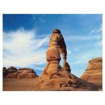 Delicate arch, Arches National Park, Utah, USA Flyer
